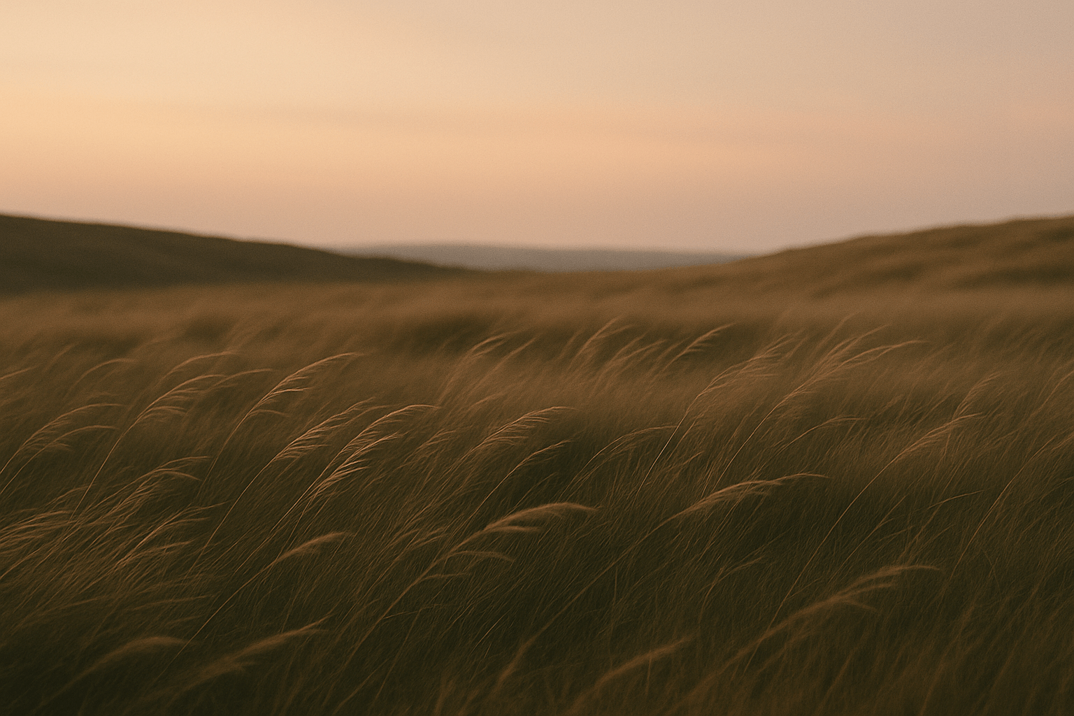 How to Choose a Stuff Sack