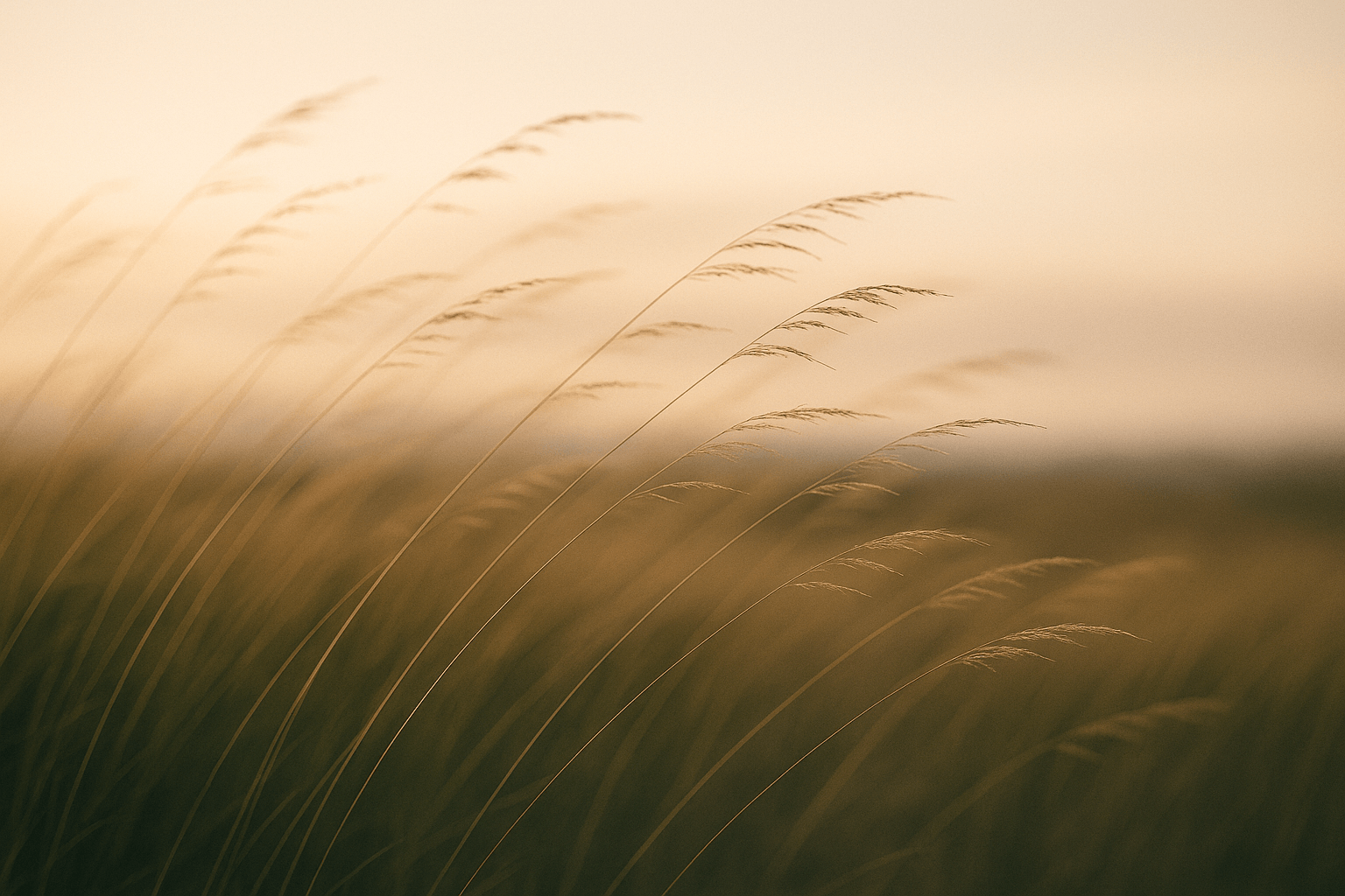 Ultralight Backpacking Checklist